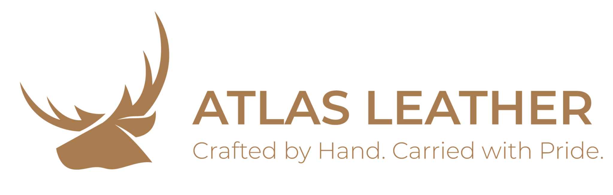 logo footer